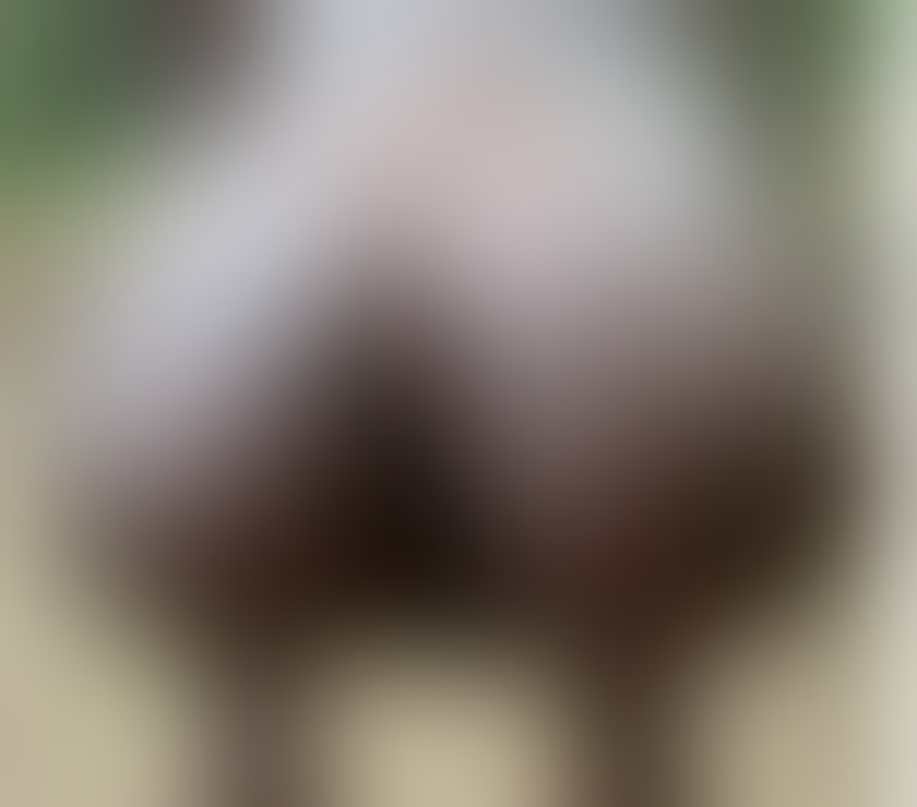 Gay massage Tyne and Wear North Tyneside - Photos for Leo 🧸 – Smooth Sub Twink | Available from 14th August |