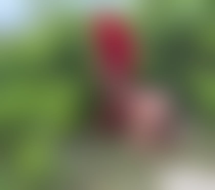 Trans Escorts West London Ealing Broadway - West London - Photos for XXL big Indian girl 🍆