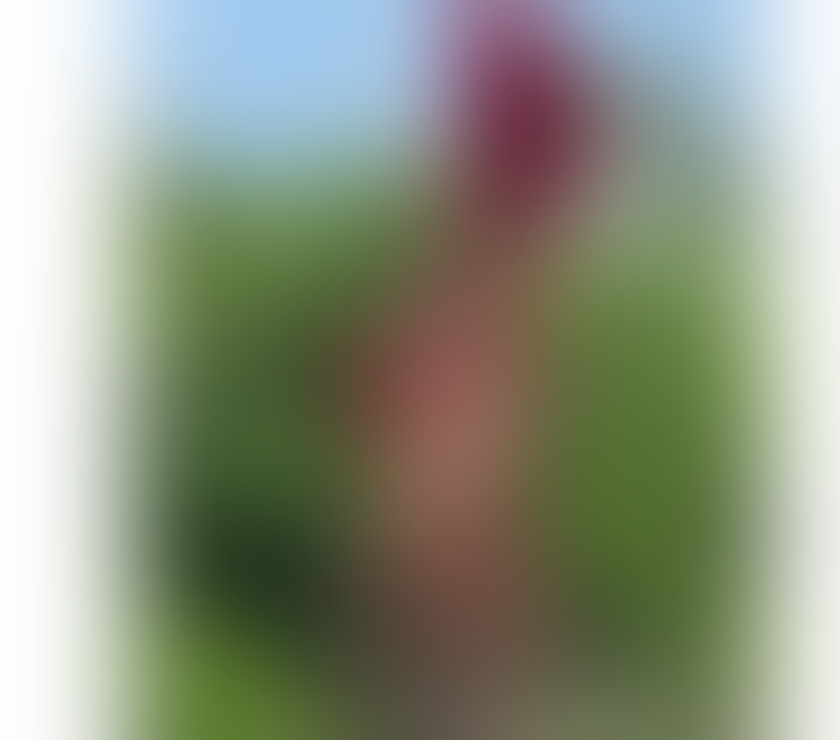 Trans Escorts Ealing Broadway West London - Photos for XXL big Indian girl 🍆