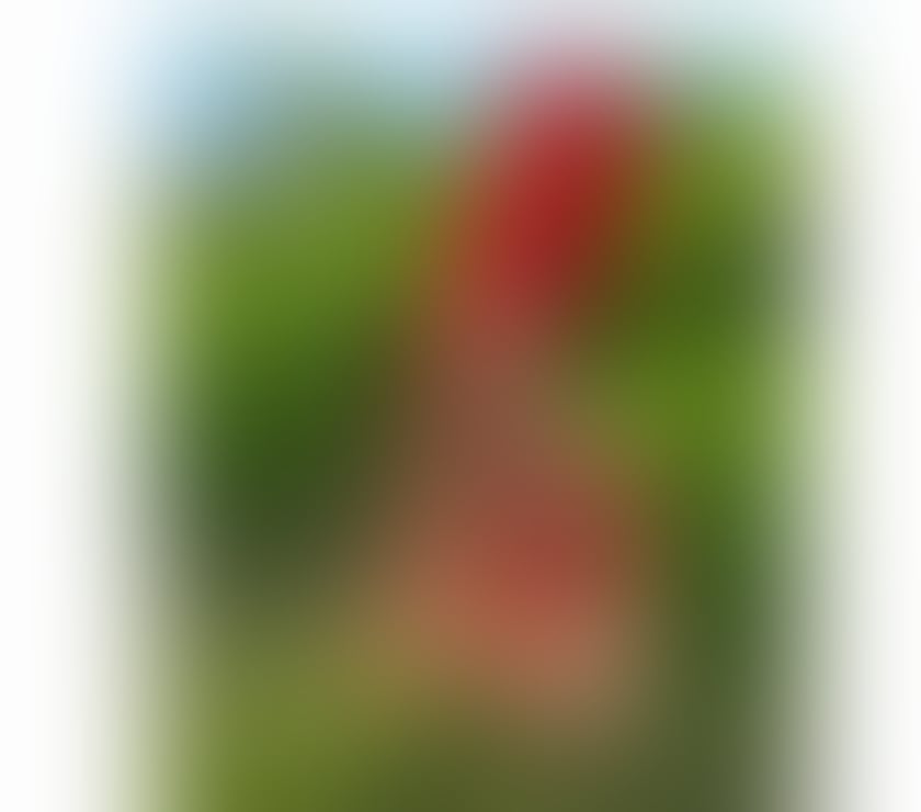 Trans Escorts West London Ealing Broadway - West London - Photos for XXL big Indian girl 🍆