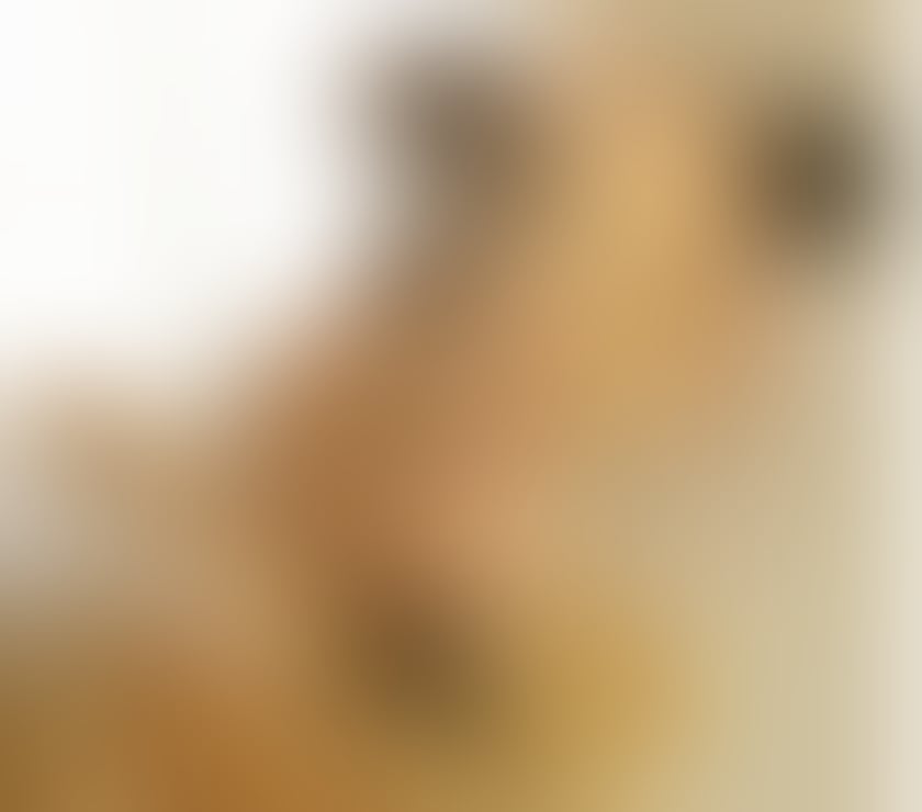 Escorts Merseyside Liverpool - Photos for Blonde XL BOOBS Girl 💖 Your Wildest Night Out
