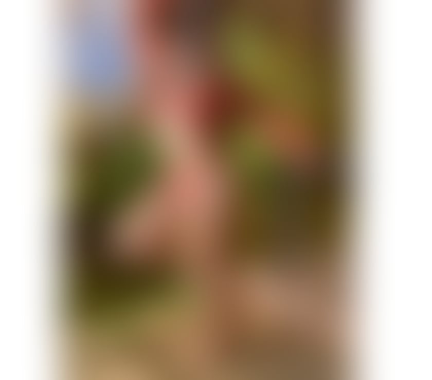 Escorts Elephant and Castle South East London - Photos for 🕊 Meira Solstice – Heaven After Midnight