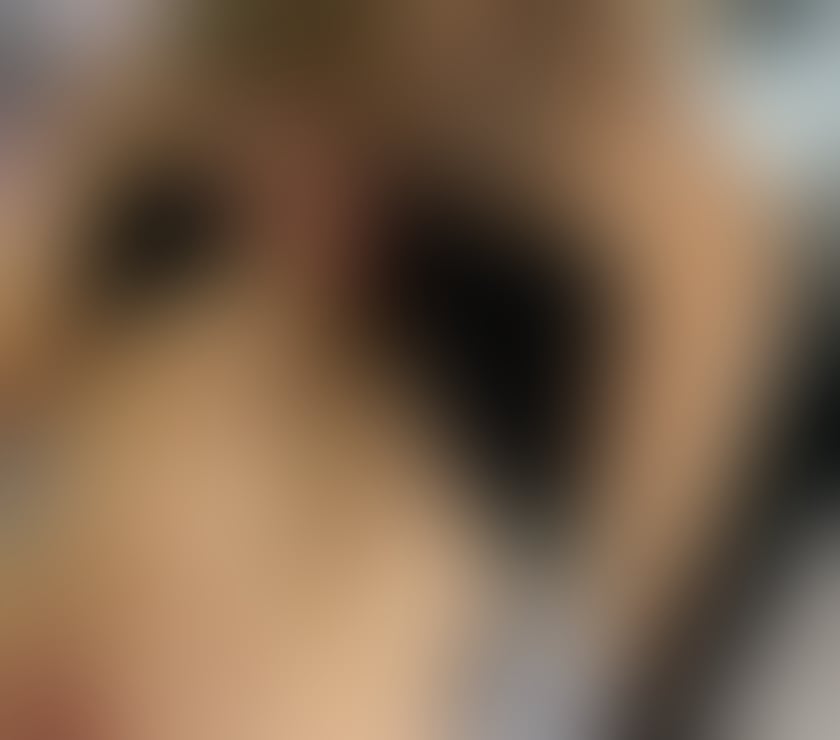 Escorts West Yorkshire Bradford - Photos for SEXY HOT POLISH KARINA 🌺🤩💕