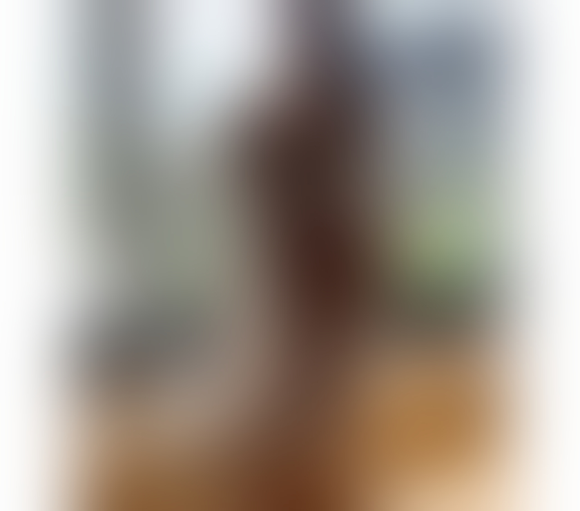 Escorts West London Hounslow - Photos for LATINA 💥 OWO 😋 PARTY GIRL💥