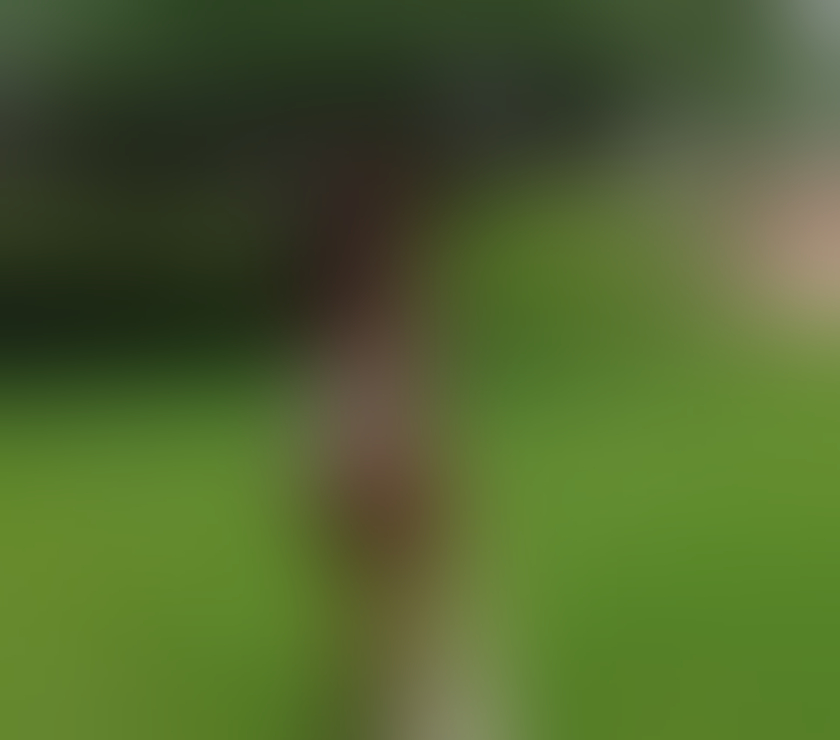 Escorts North Yorkshire Middlesbrough - Photos for Soraya Ebony brazilian🇧🇷girl party🥳