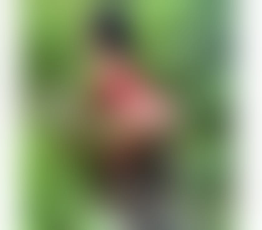 Trans Escorts Buckinghamshire High Wycombe - Buckinghamshire - Photos for Laysa trans Brazilian season in the city