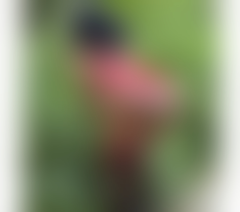 Trans Escorts Buckinghamshire High Wycombe - Buckinghamshire - Photos for Laysa trans Brazilian season in the city