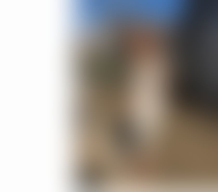 Escorts Buckinghamshire Aylesbury - Buckinghamshire - Photos for New Brazilian 🇧🇷🔥🍯♦️ in town