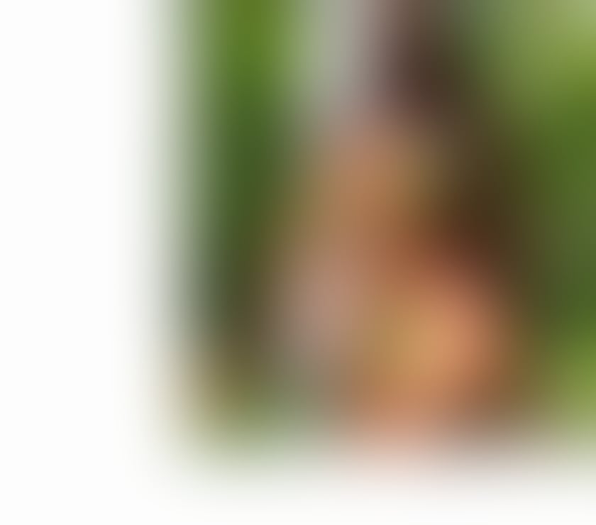 Escorts Nottinghamshire Nottingham - Photos for NEW LOVELY💝EXOTIC 🍾🍾💝🥂 FULL GFE