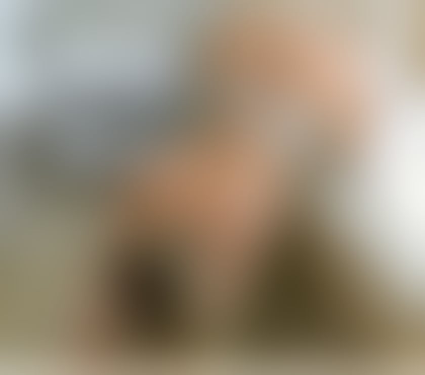 Escorts Gloucestershire Gloucester - Photos for Lexy 💥 New in Town Wild & Ready to Play 🔥🫶