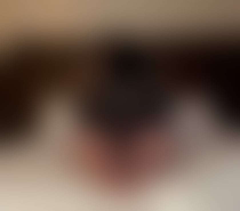 Escorts Greater Manchester Bolton - Photos for Ultimate GFE. Experienced, curvy and 100% English 💋