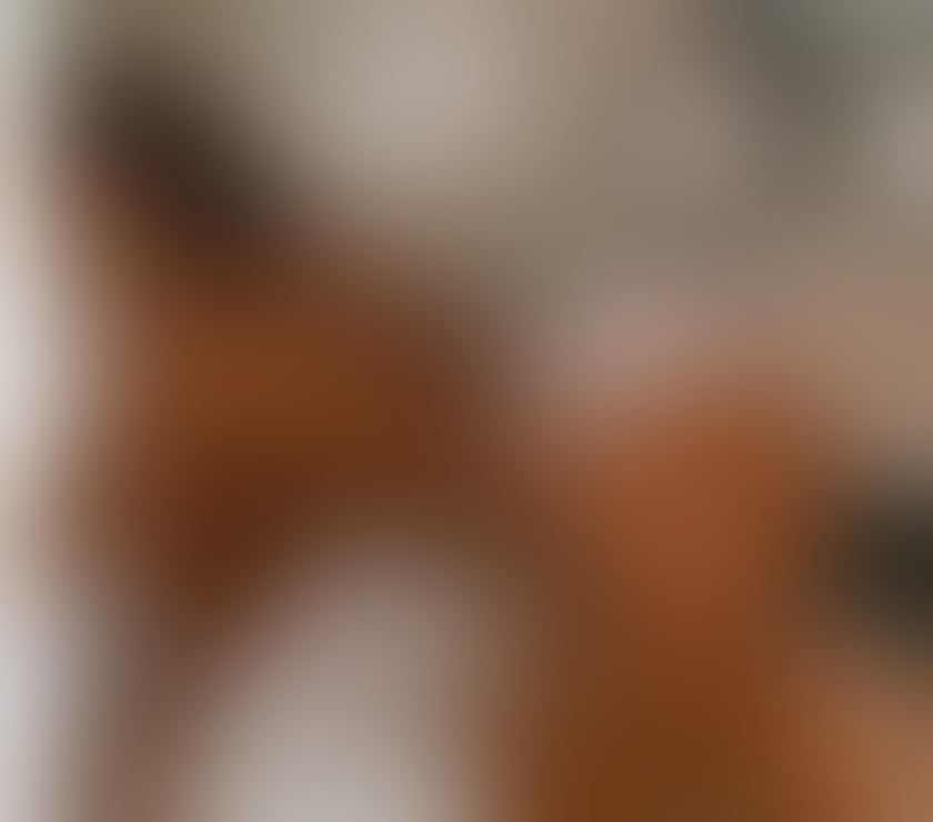 Escorts Gloucestershire Gloucester - Photos for DIANNA❤️ BIG ASS 😜 SWEET AFRICANN🎉