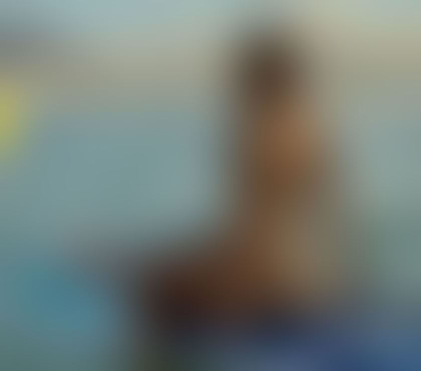 Escorts Dundee Dundee City Centre - Dundee - Photos for CLARA PARTY24H 🍾 OWO❤️ LEVEL A🔥NO RUSH