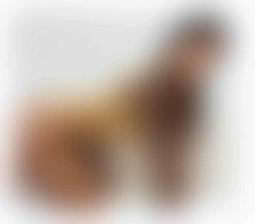 Escorts West Yorkshire Leeds - Photos for Leah - Filipino girl 🌹