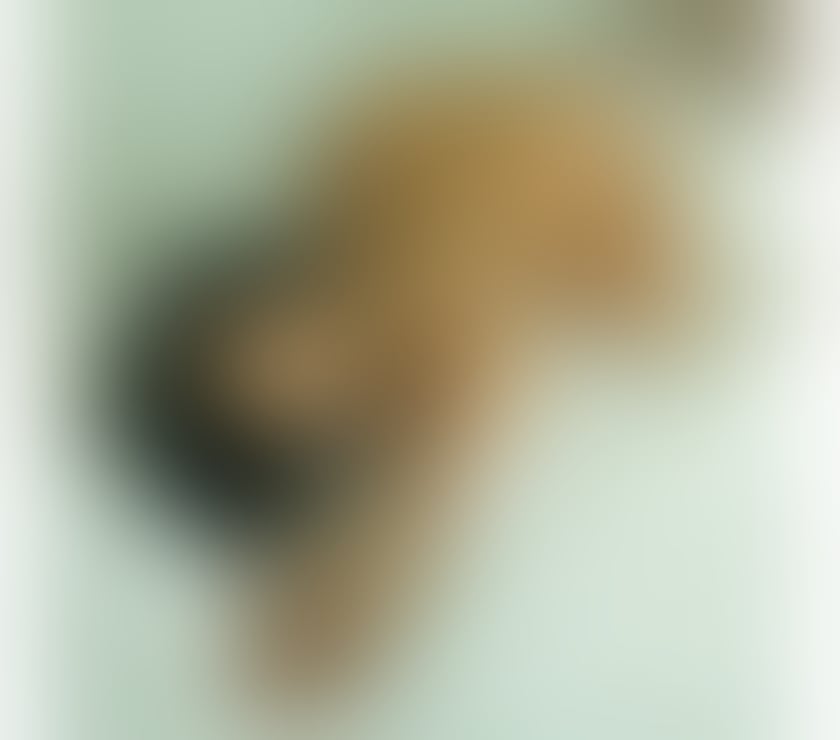 Escorts Surrey Reigate and Banstead - Photos for 🍆🍆Hot Latina ZOE FIRST TIME IN TOWN 🍆🍆