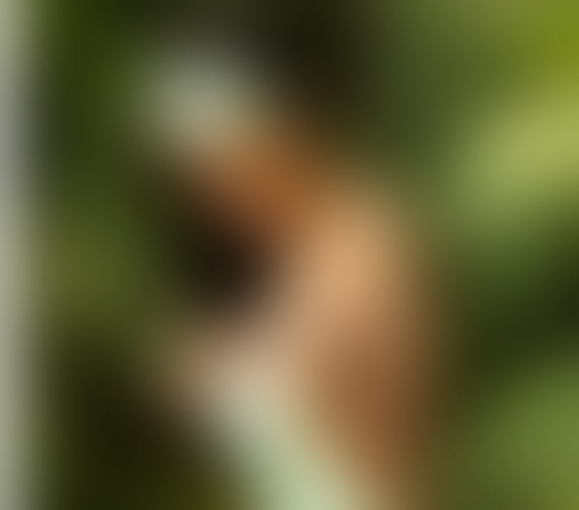 Escorts South East London Penge - South East London - Photos for VANESSA NEW BEAUTIFUL BRAZILIAN GIRL