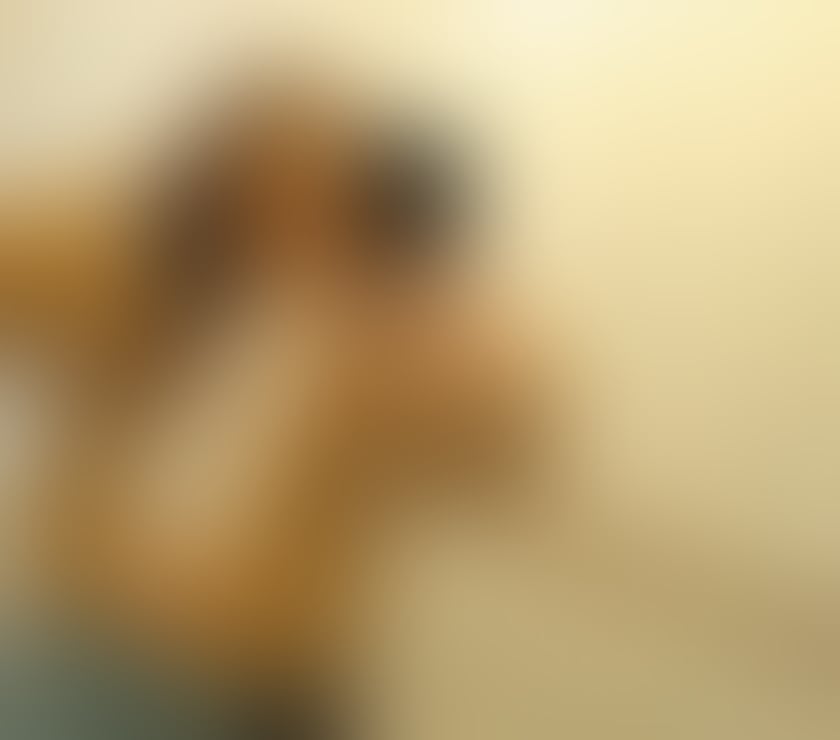 Escorts Forest Fields Nottingham - Photos for Hello my name is Lysa❌️❌️