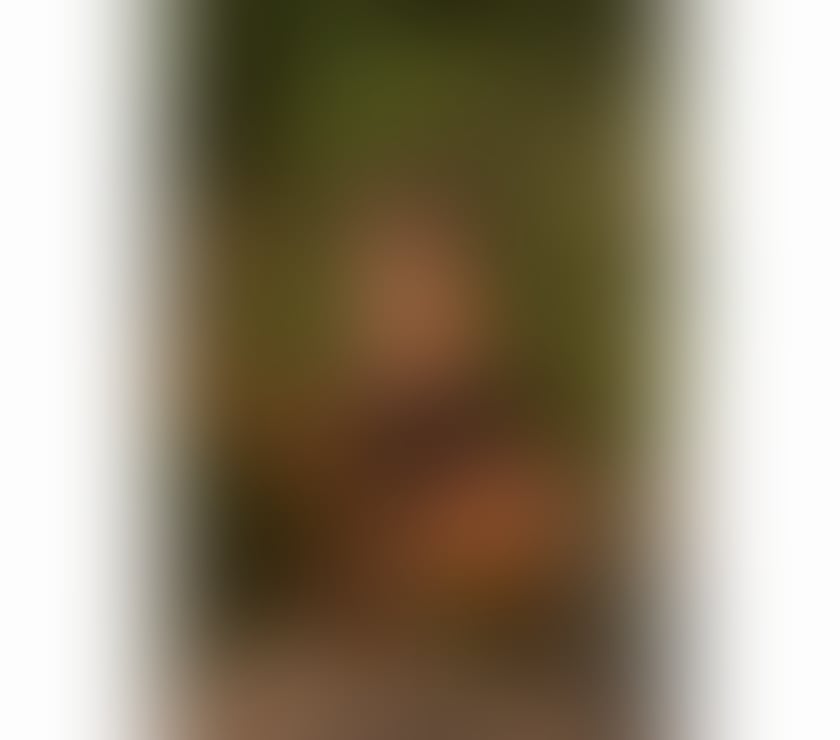 Trans Escorts West Midlands Birmingham - Photos for NEW SEXY BRAZILIAN TS BÁRBARA IN TOWN!!