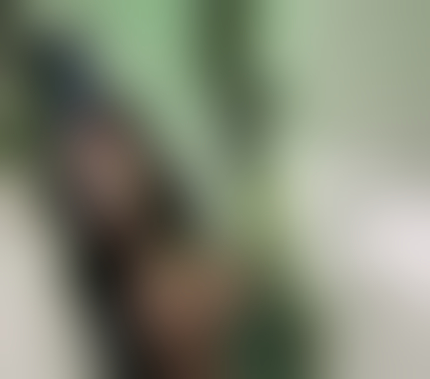 Escorts West Midlands Birmingham - Photos for Brazilian 💯% real, 📞 very hot