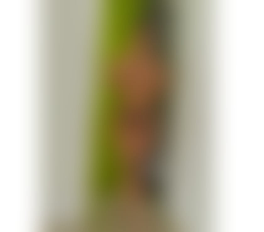 Escorts Manchester City Centre Manchester - Photos for Party Girl Maria