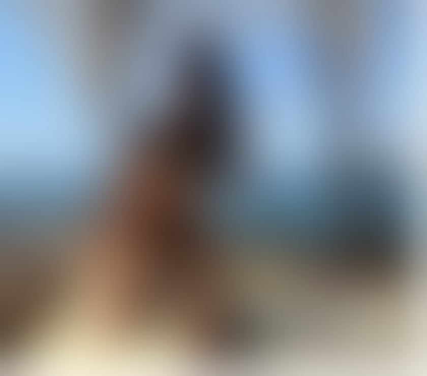 Escorts Essex Epping Forest - Photos for Leyla party girl ❤️❤️❤️