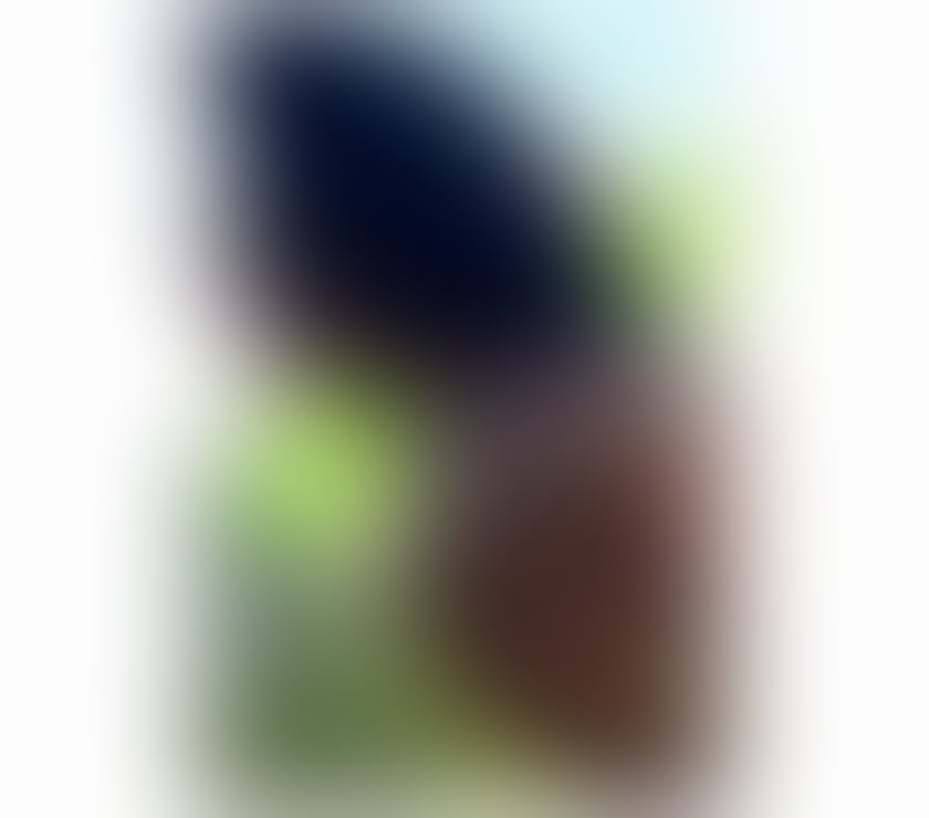 Escorts North West London Harrow - Photos for ZAFIRA SWEET LIKE HONEY🍯🐝💦