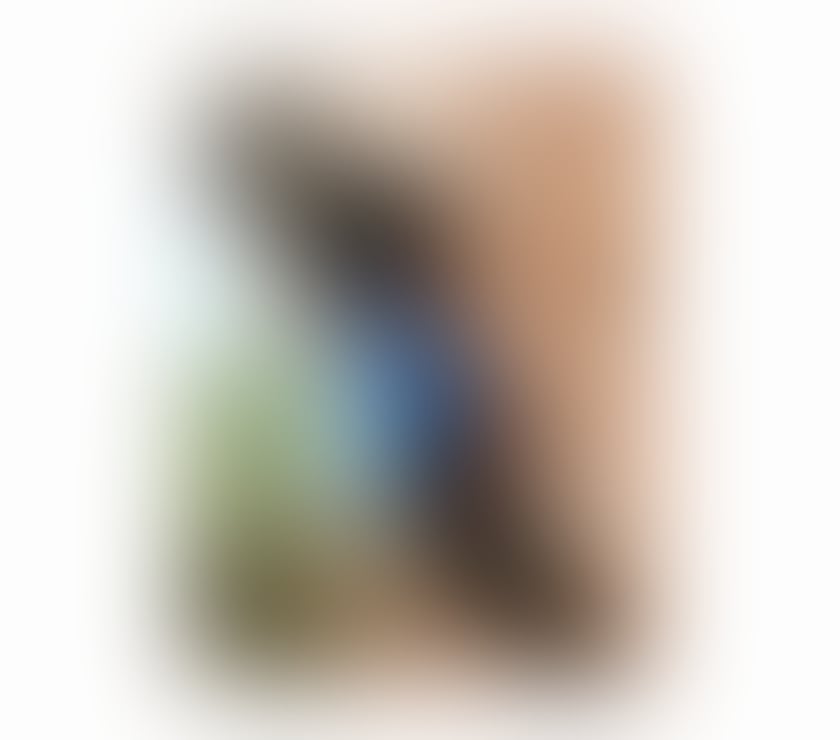 Escorts West Midlands Birmingham - Photos for Gina Nutty Pettite