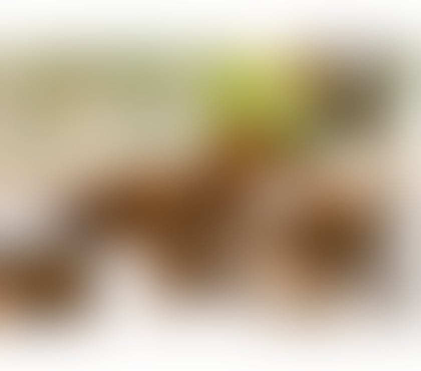 Escorts Cambridgeshire Cambridge - Photos for Delicious Brazilian brunette 🧡🦋💛