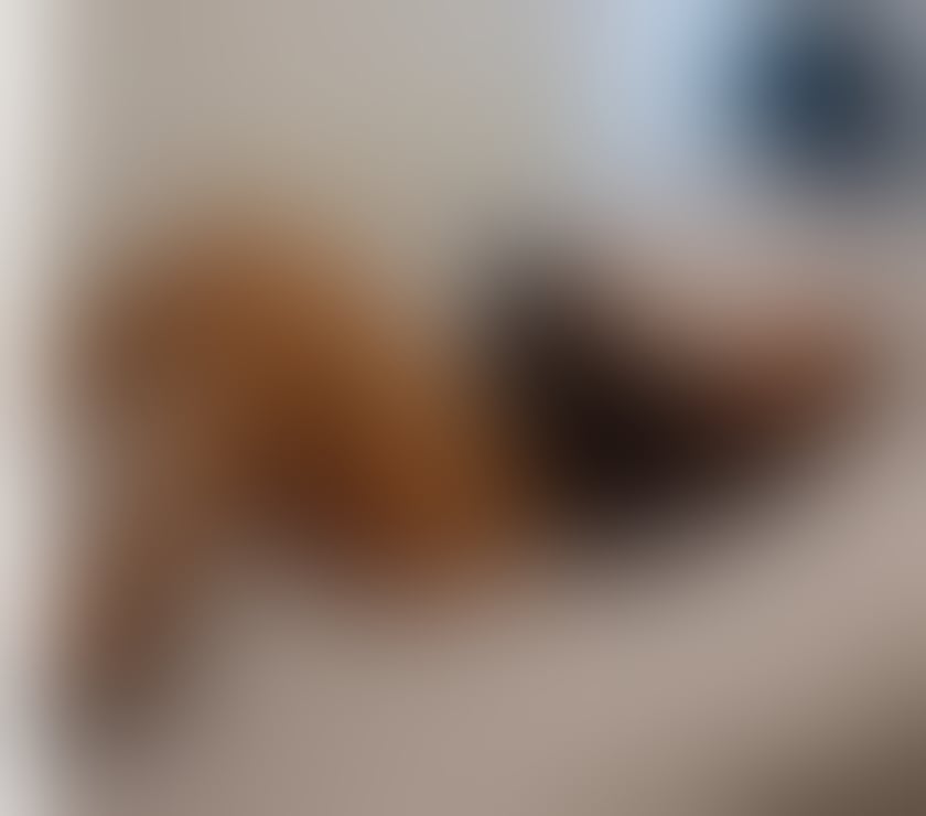 Escorts West Midlands Sandwell - Photos for IM NEW IN YOUR CITY PORNO STAR 🫦😍
