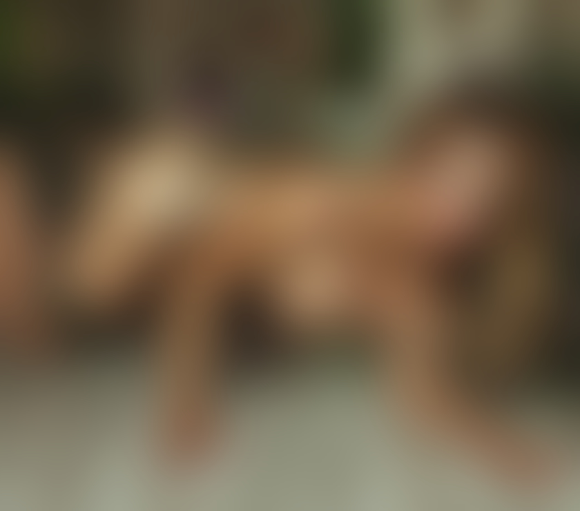 Trans Escorts North London Finsbury Park - North London - Photos for 🌻 Ts London, full service GFE