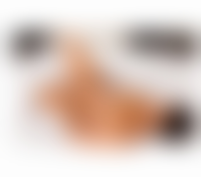 Escorts Oxfordshire Cherwell - Photos for Paola new in town party