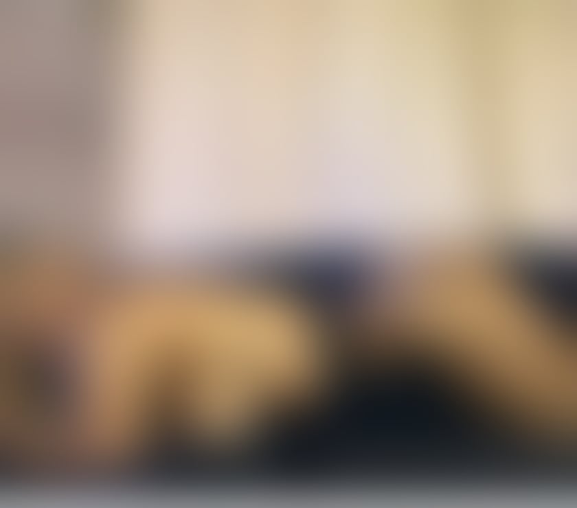 Escorts Bedfordshire Bedford - Photos for Tania new in town