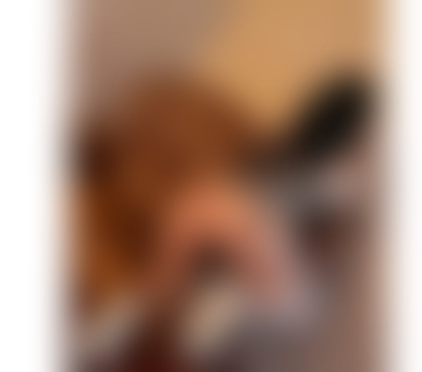 Escorts Sheffield City Centre Sheffield - Photos for Incall&Outcall♥️Karlaa😘NO rush🔥NO FAKE PICS💯