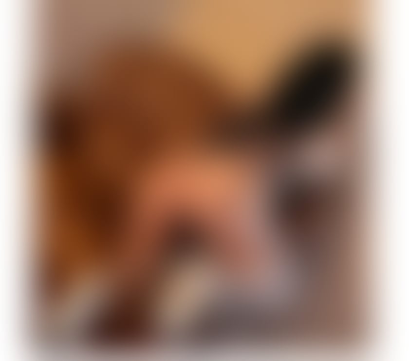 Escorts Sheffield City Centre Sheffield - Photos for Incall&Outcall♥️Karlaa😘NO rush🔥NO FAKE PICS💯