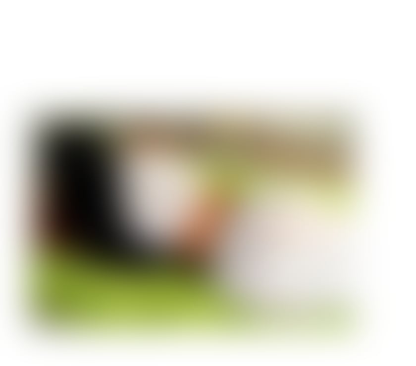 Escorts Inverness Highland - Photos for Strapon massage Brazilian💋❤️🥳