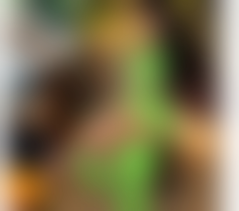 Escorts Buckinghamshire Milton Keynes - Photos for hot and seductive Brazilian girl just arrived 🔥🌶️