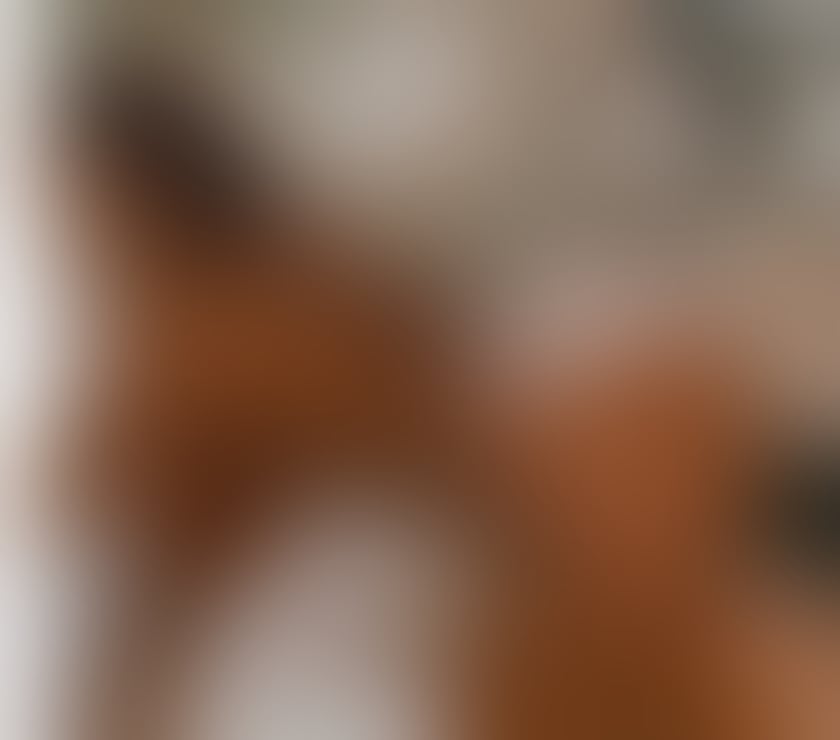 Escorts Worcestershire Worcester - Photos for DIANNA ❤️ BIG ASS 😝SWEET AFRICANN