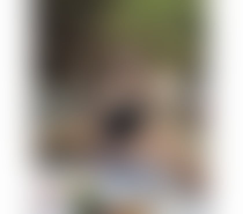 Escorts West Sussex Chichester - Photos for Rinda Thai Cute 🥰 real 💯