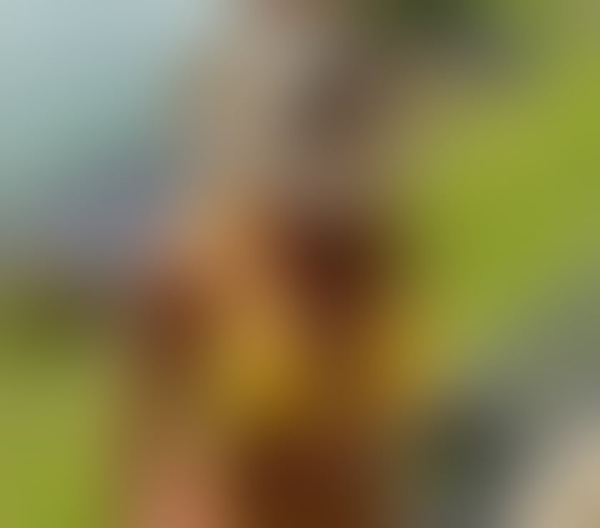 Escorts North West London Dollis Hill - North West London - Photos for 🇧🇷 EVA ⚜️VIP COMPANION ⚜️ BEST GFE🍭BJ💦