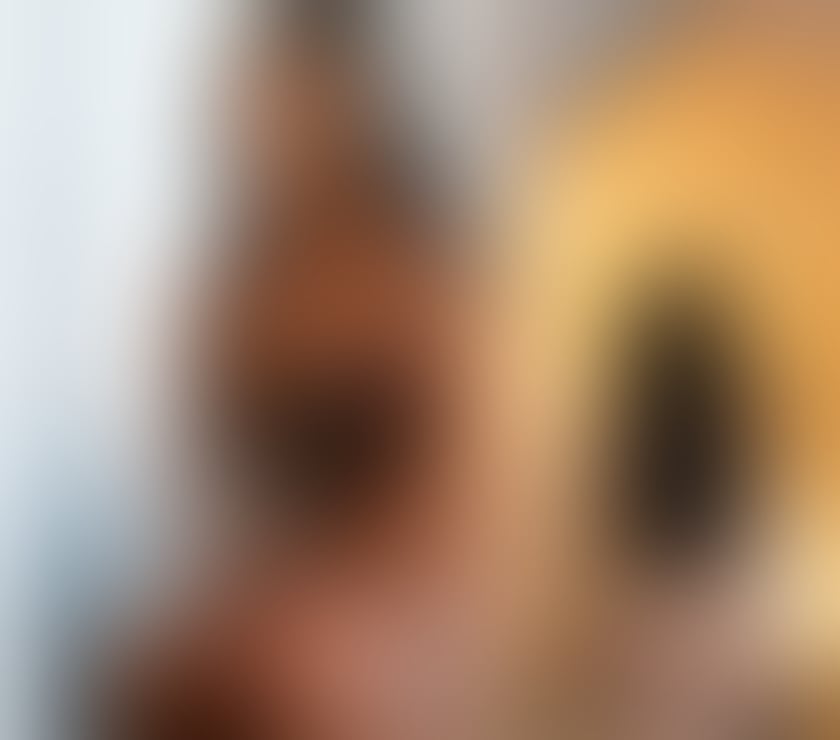 Escorts Belfast Belfast City Centre (South) - Belfast - Photos for Best experience with MELANY🦋hot new students🌷