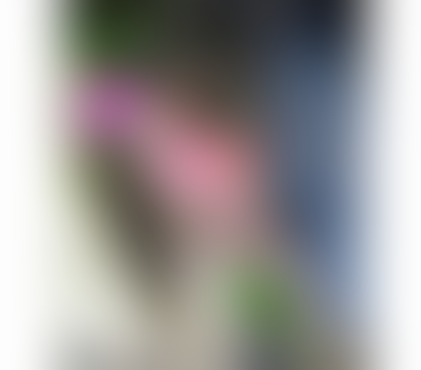 Escorts North London Seven Sisters Station - North London - Photos for 🦋LUANA IS A BUSTY CARIBBEAN TO DELIGHT YOU🦋