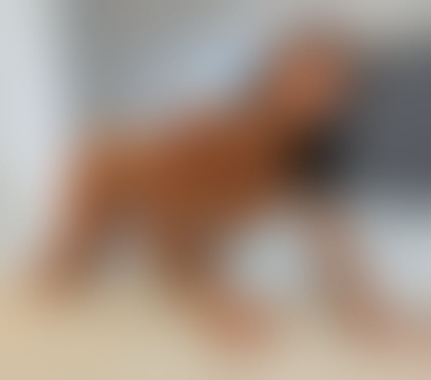  Escorts Oldham Town Centre Oldham - Photos for ONLY OUTCALL❤️❤️PARTY GIRL❤️❤️