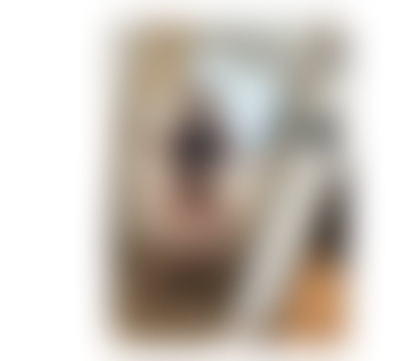  Escorts & Erotic Massage Catford South East London - Photos for LICA BRAZILIAN 🇧🇷GFE🫦PARTY GIRL💃NO RUSH 🧭