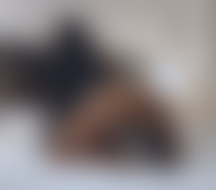 Escorts Somerset North Somerset - Photos for PASSIONATE LATINA PSE KHLOE - PARTY GIRL