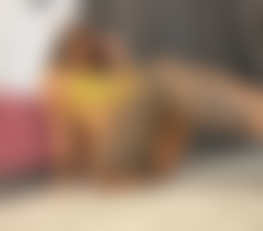  Escorts Bristol City Centre Bristol - Photos for 🩷Party girl 🩷New in your city 💋