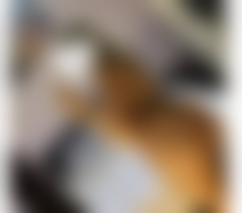 Escorts Essex Colchester - Photos for NEW in area Best experience Outcall only