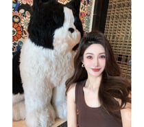 Photos for PERFECT❣️ASIAN ESCORTS❣️