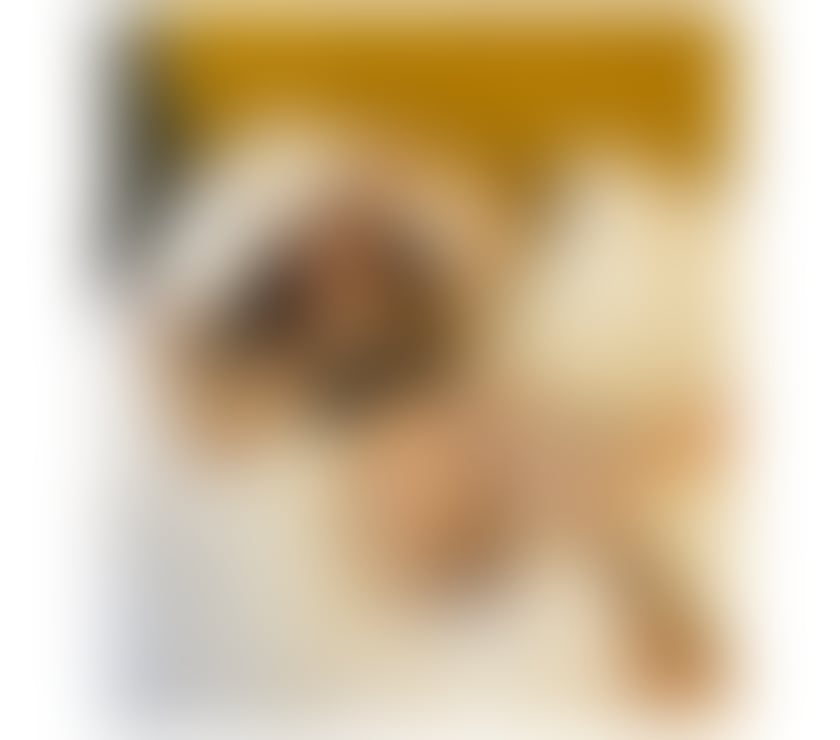 Escorts County of Herefordshire Hereford - County of Herefordshire - Photos for EVA BEST PARTY 🎉 💜 CALL ME NOW 🎉 NO RUSH