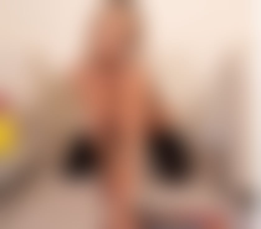 Escorts Kent Ashford - Photos for Ready for the party xx just arrived in town