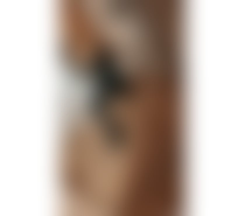 Escorts The Avenues Hull - Photos for Sara new in town lady transgender